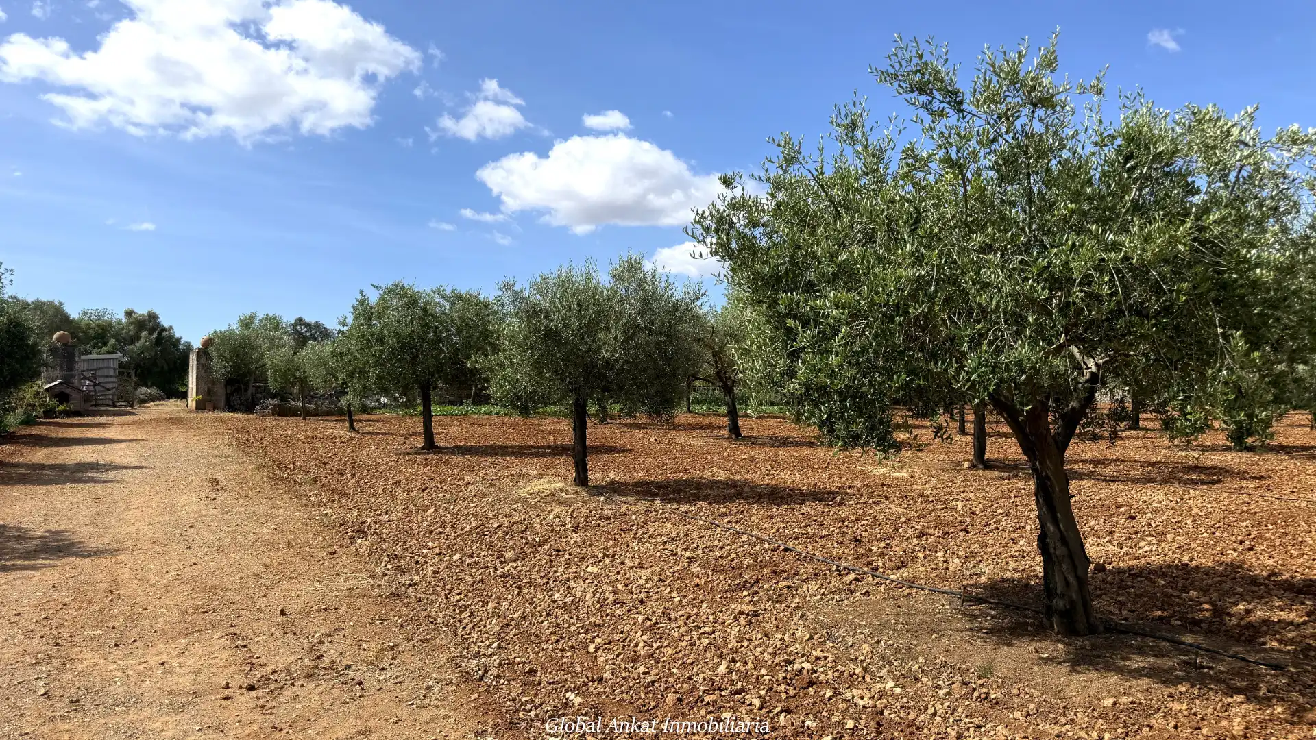 Maison rustique avec piscine à vendre à Felanitx Poble, imagen 59