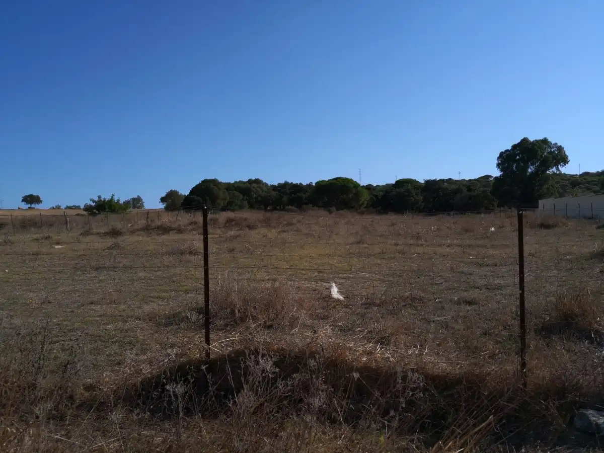 Terreno rustico in vendita a Barbate ciudad, imagen 15