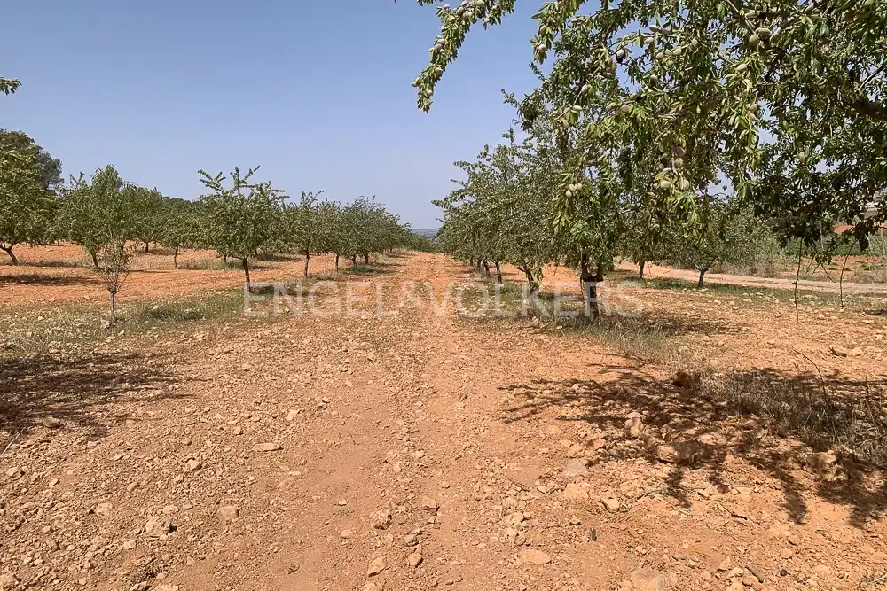 Lands and plots for sale in Requena, imagen 30