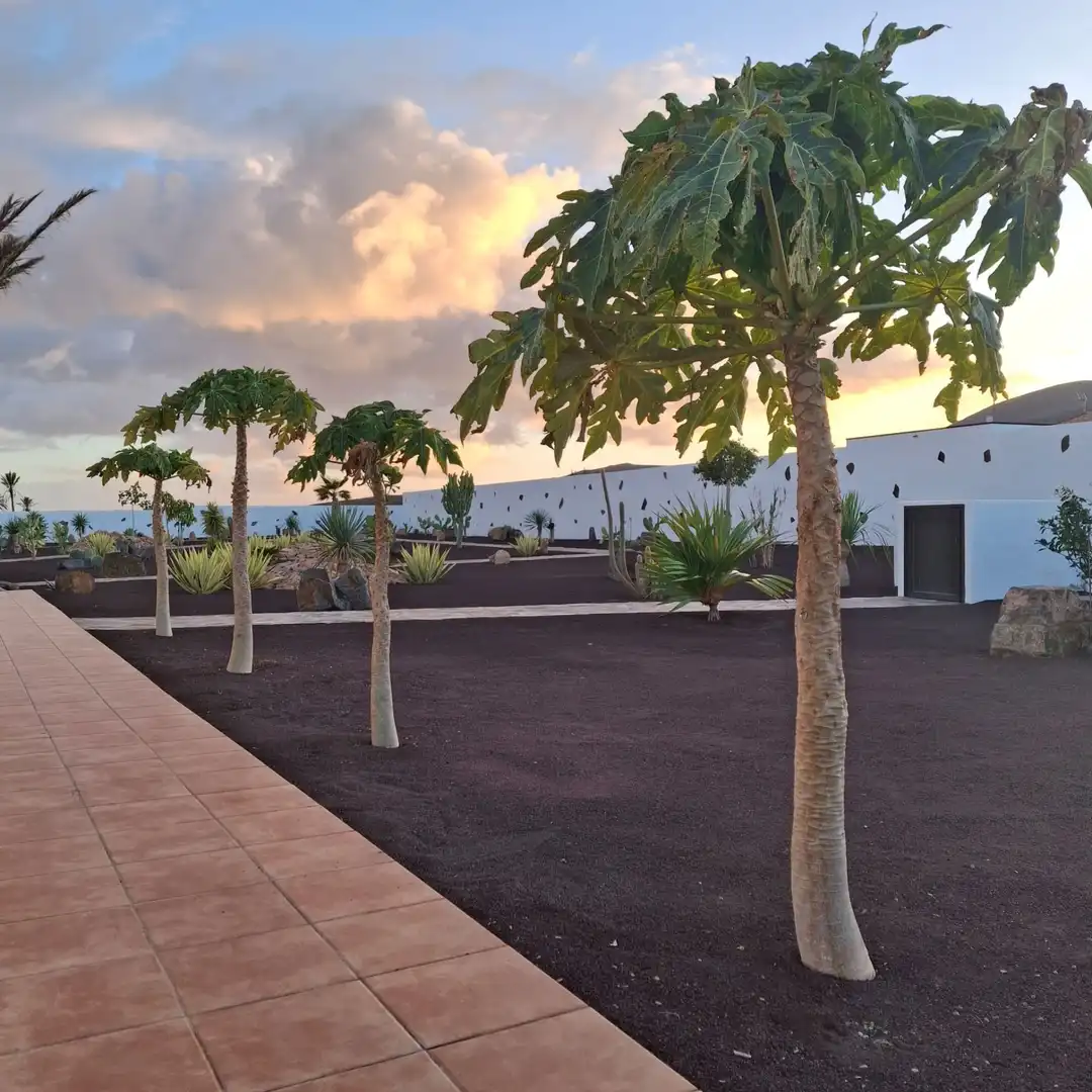 Terraza de Casa o chalet en venta en Tuineje con Jardín privado, Terraza y Trastero