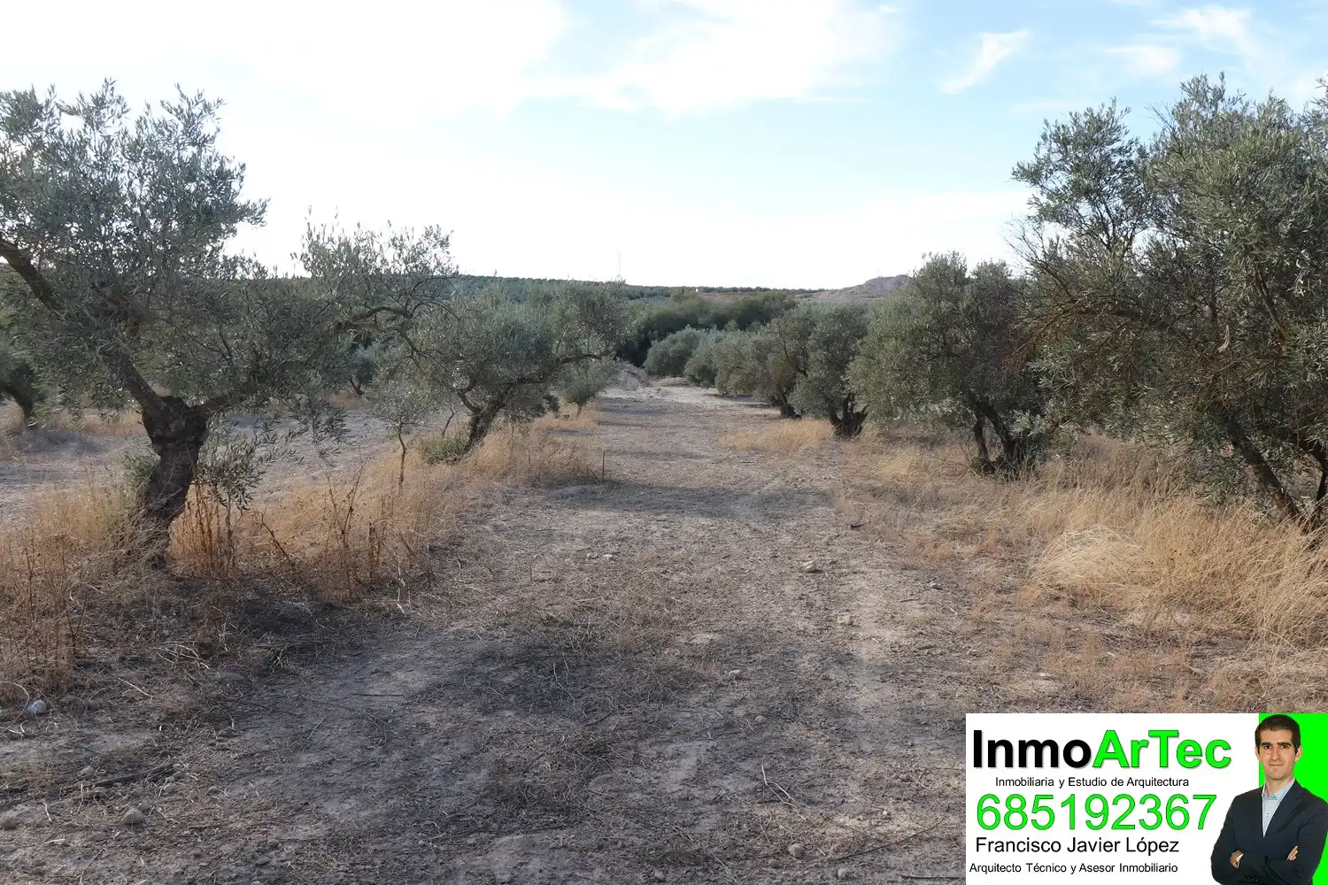 Rural land for sale in Belicena, imagen 2