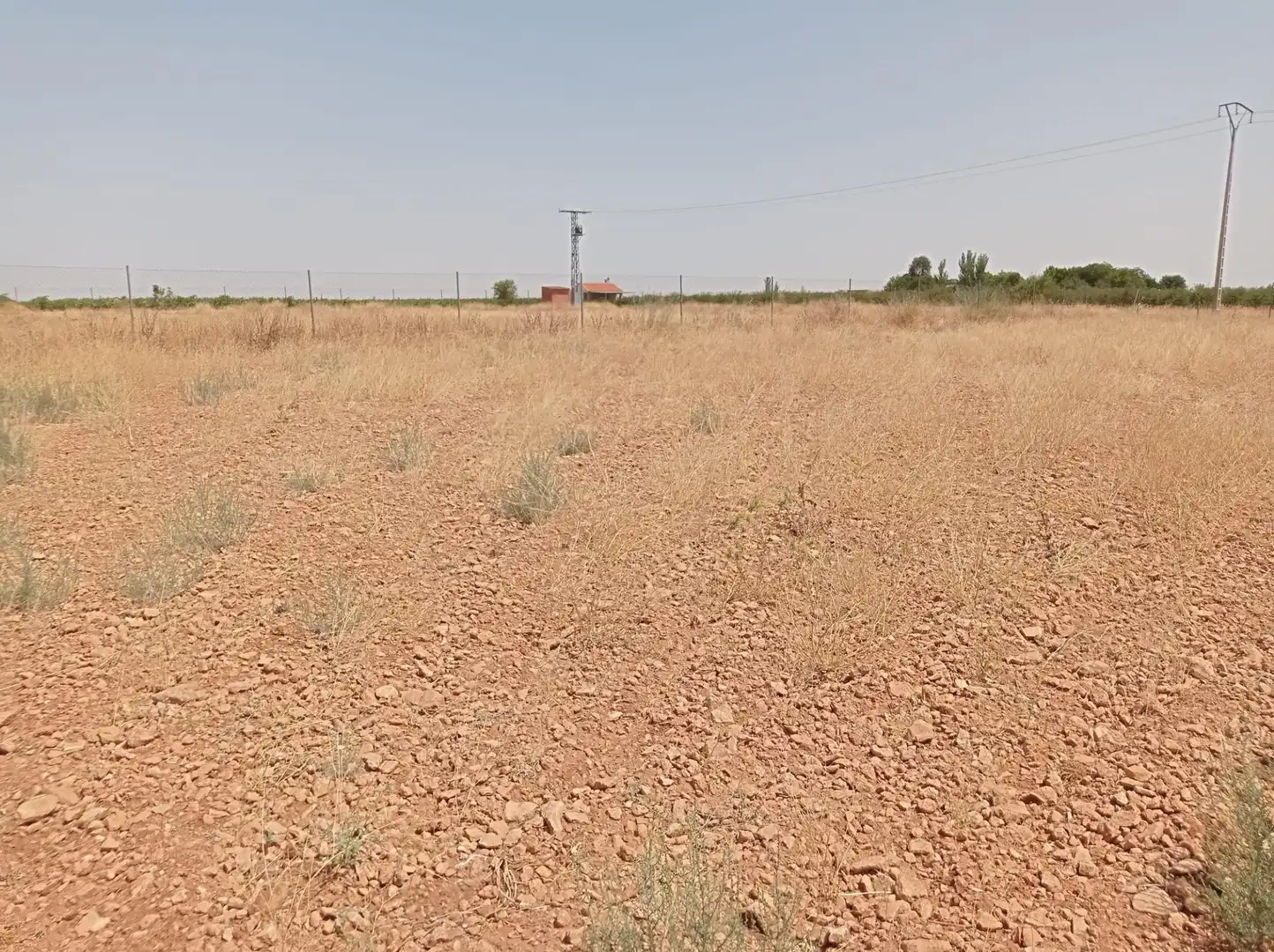 Terreno rustico in vendita a Pozuelo de Calatrava, imagen 11