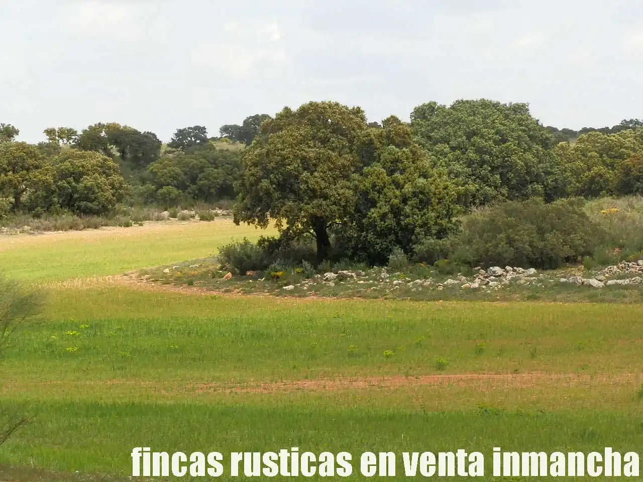Terreno rustico in vendita a Ruidera, imagen 14