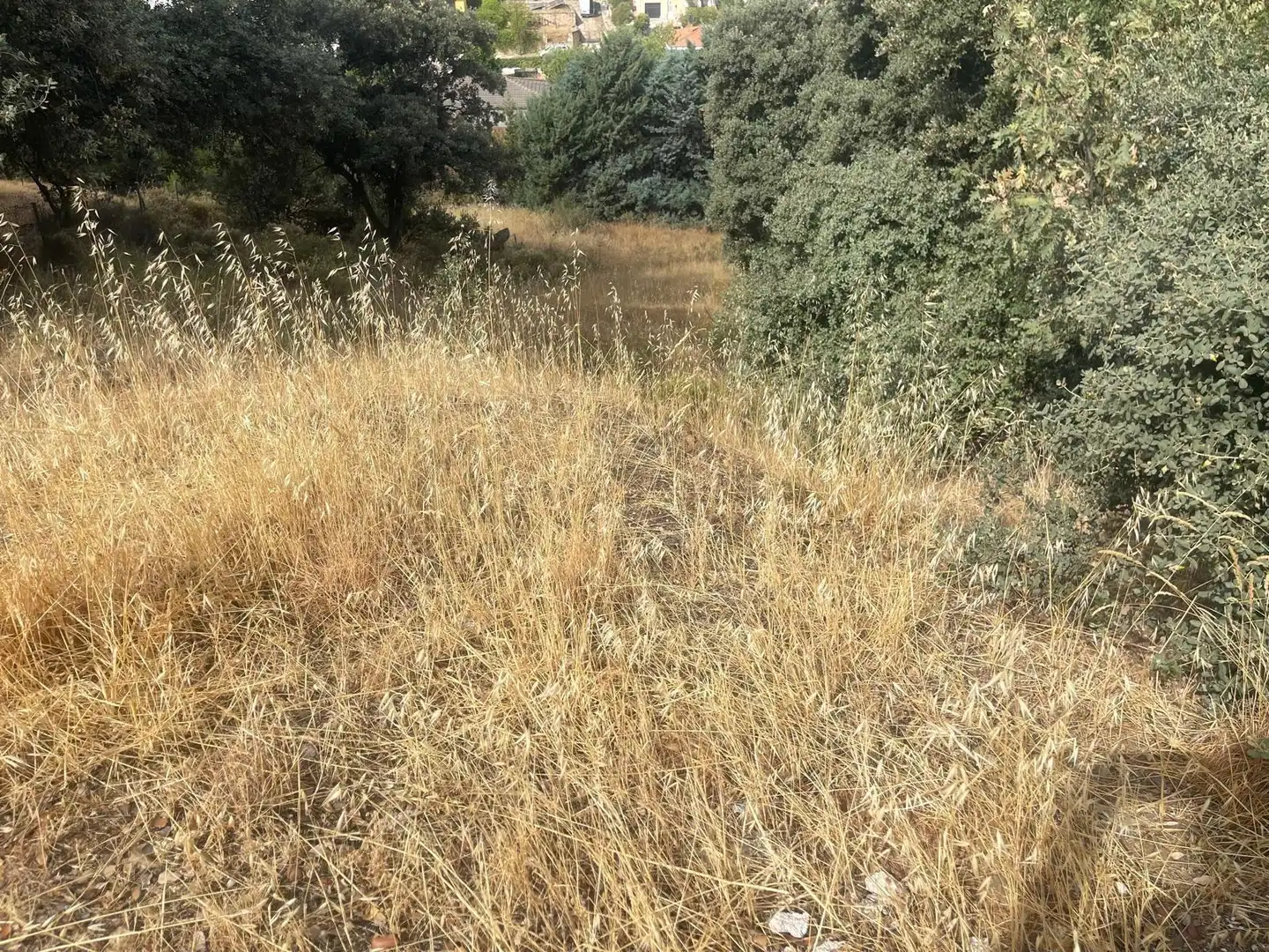Terreno residenziale in vendita a El Casar, imagen 15