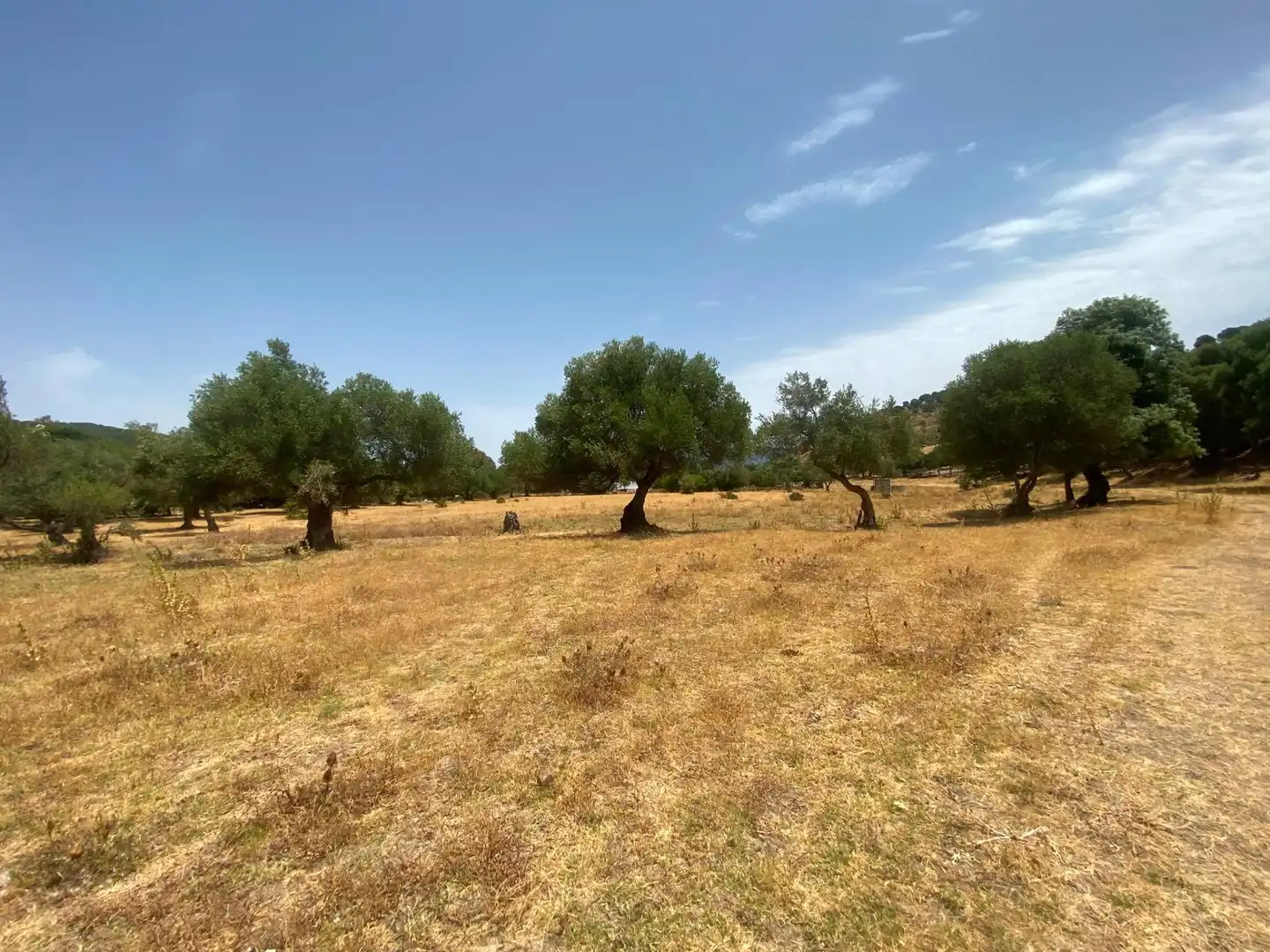 Terreni e lotti in vendita a Alcalá de los Gazules, imagen 75