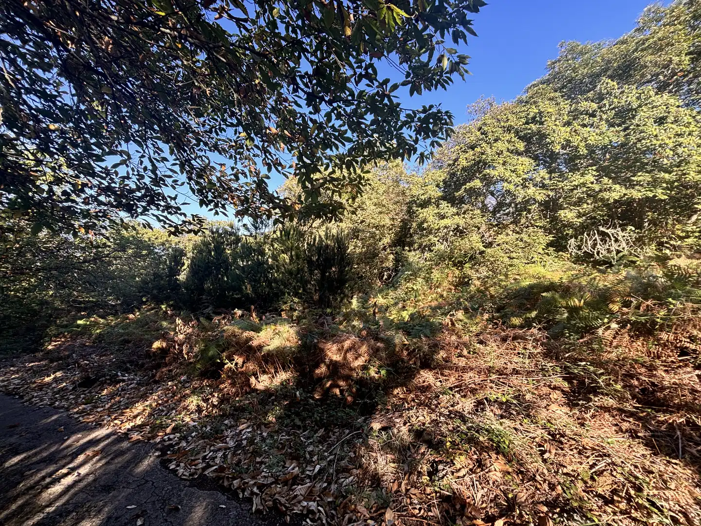 Terreno rustico in vendita a Lugar el Balayo, imagen 14