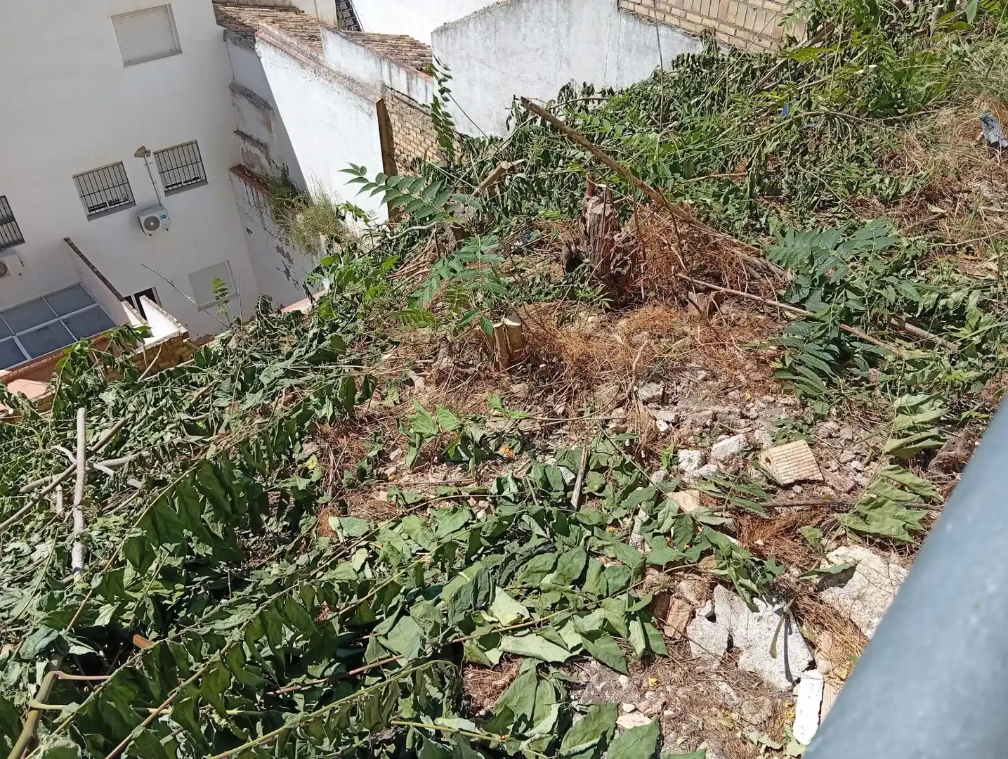 Lands and plots for sale in Calle SUBIDA AL CASTILLO, imagen 3