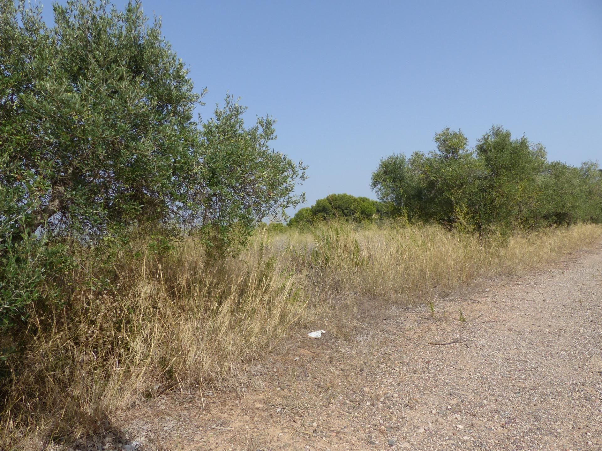 Residencial en venta en Reus