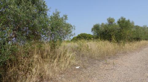 Photo 3 of Residential for sale in Carrer de Les Liles, Migjorn, Tarragona