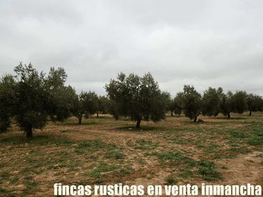 Terrain rustique à vendre à Campo de Criptana