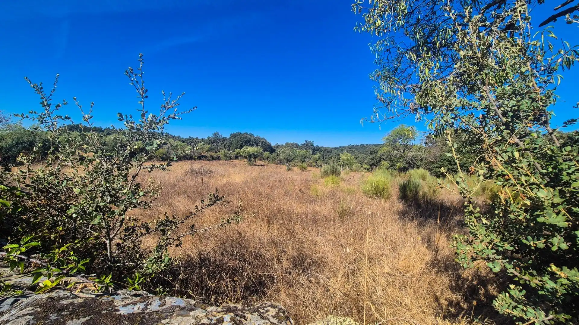 Land for sale in Ahigal de los Aceiteros, Salamanca