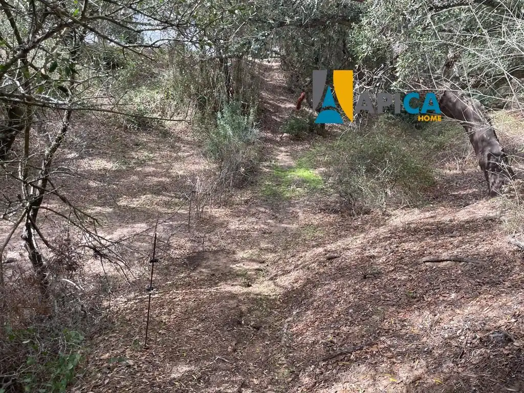Terreni e lotti in vendita a Vejer, imagen 4