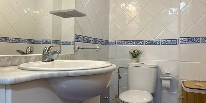 Baño de Casa o chalet en venta en Cangas del Narcea con Jardín privado, Terraza y Trastero