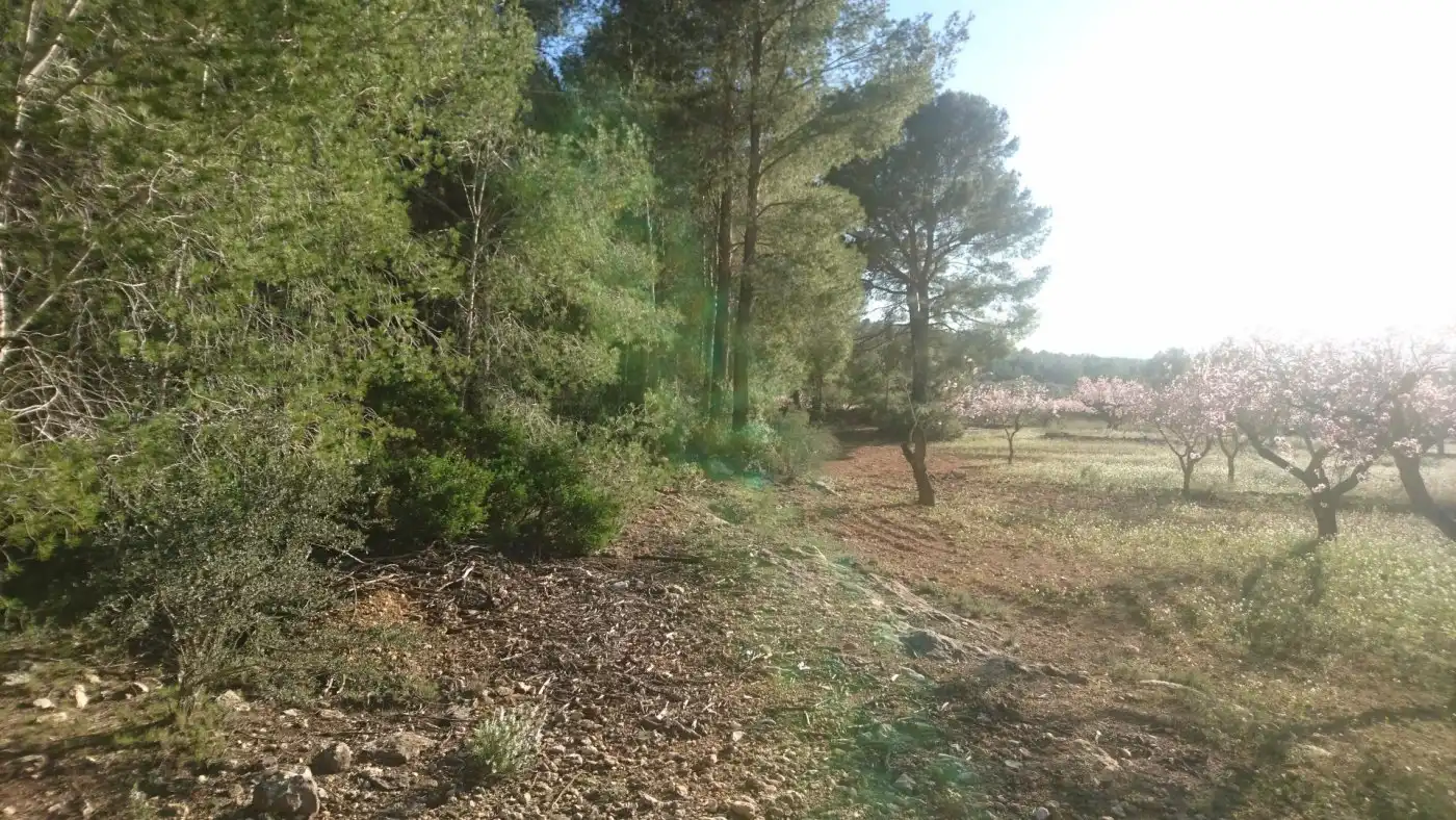 Maison à vendre à Vall d'Alba, imagen 13