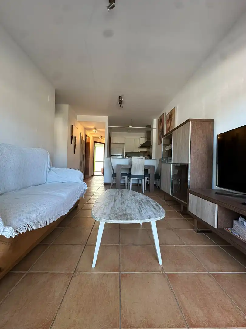 Sala de estar de Apartamento en venta en Amposta