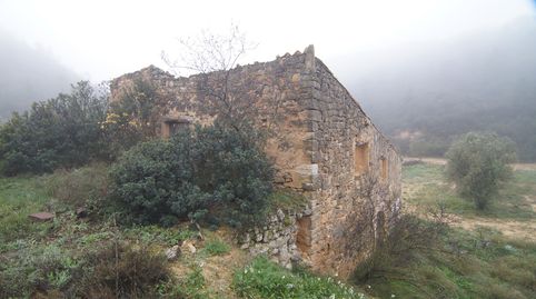Finca rústica de 88 Hectáreas en Batea, immagine 4