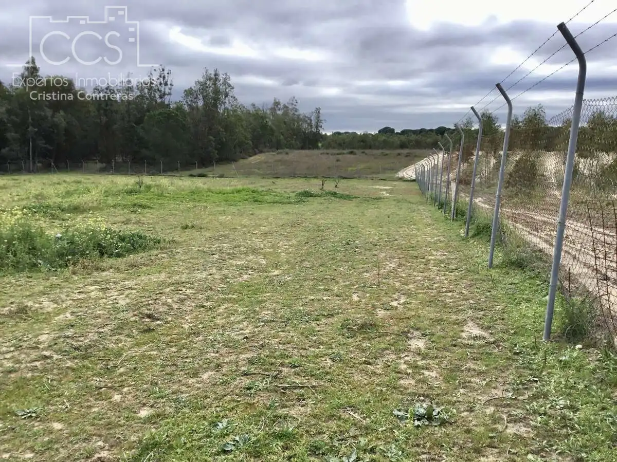 Casa rústica con piscina en venta en Almonte ciudad, imagen 10