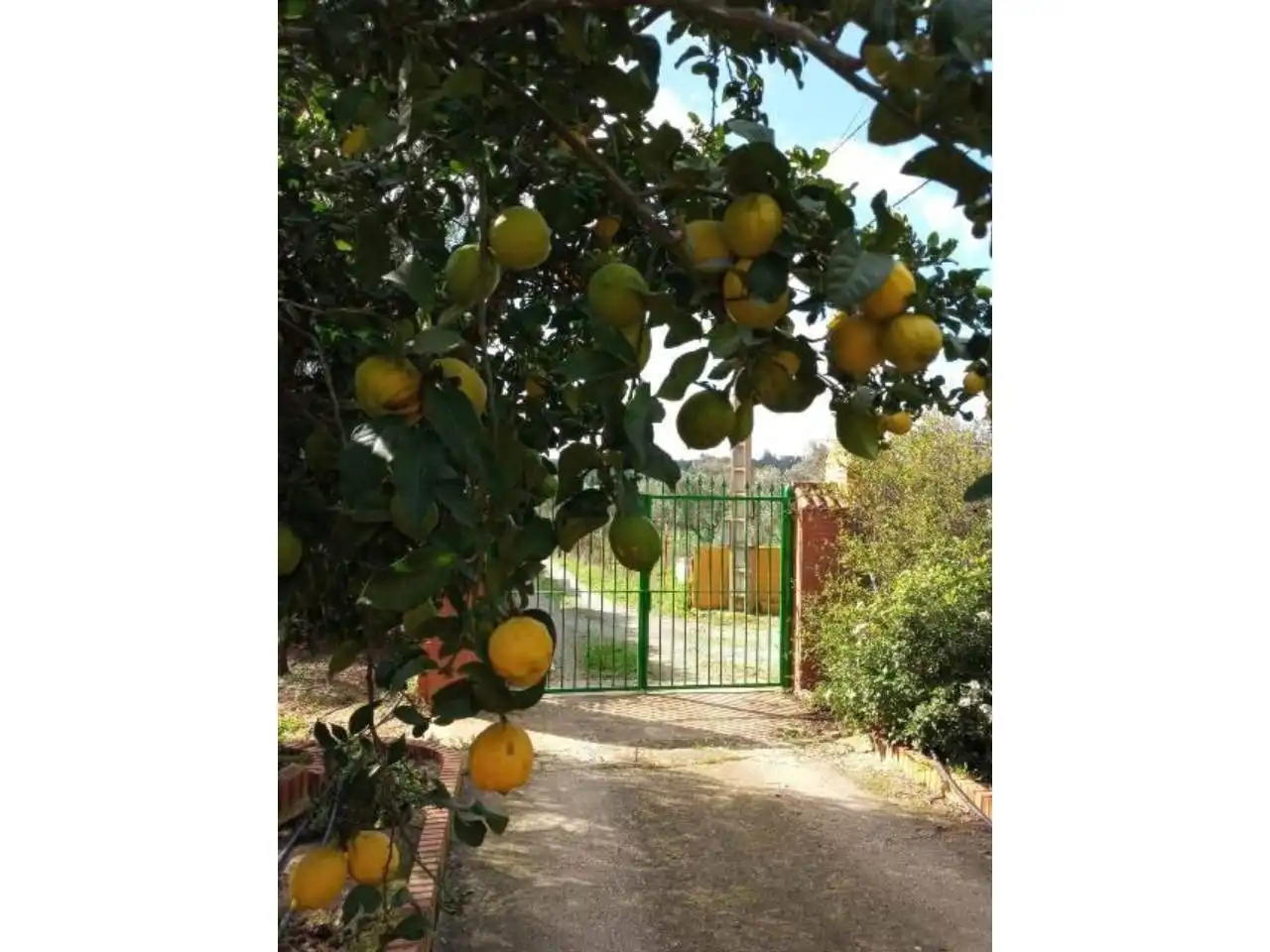 Jardí de Finca rústica en venda en San Bartolomé de la Torre amb Jardí privat i Terrassa