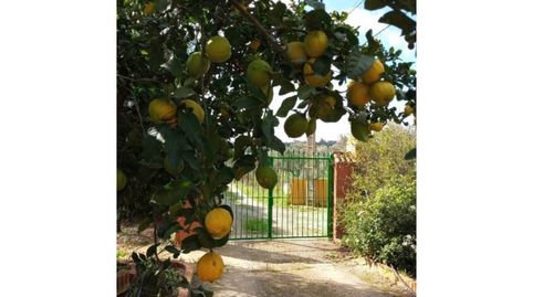 Foto 3 de Finca rústica en venda a San Bartolomé de la Torre, Huelva