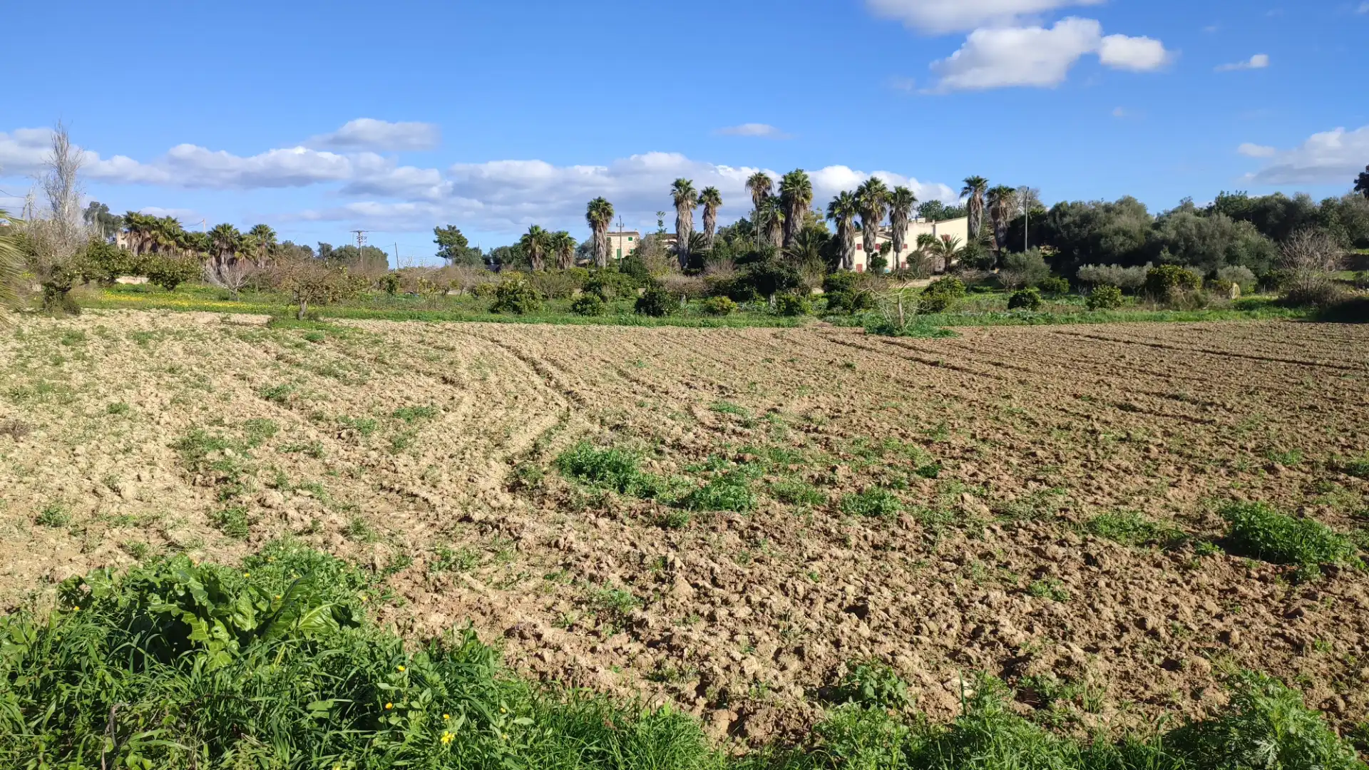 Rural land for sale in Vial Camino 316, imagen 16