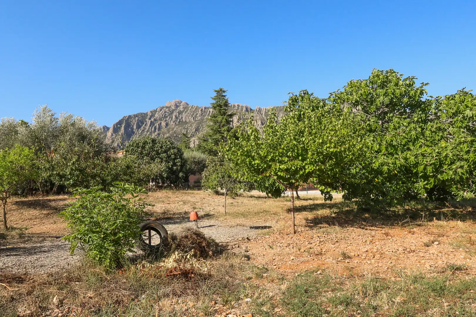 Terreno residencial en venta en Collbató, imagen 3