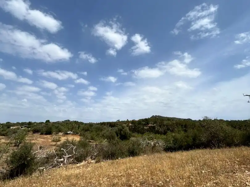 Terreny en venda en Santanyí