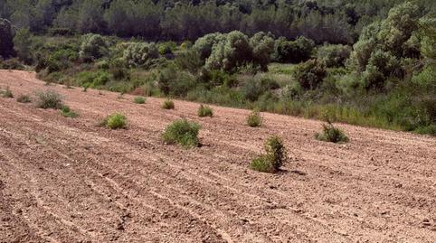 Photo 4 of Residential for sale in Vespella de Gaià, Tarragona