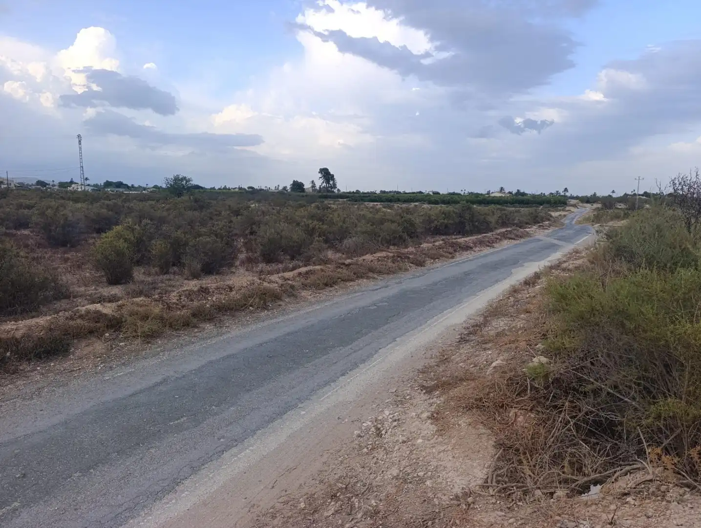 Terreny rústic de lloguer a Partida Matola, imagen 5