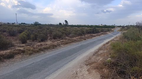Foto 5 von Grundstücke zur Miete in Partida Matola, Centro, Elche / Elx