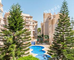 Vista exterior de Apartament en venda en Torrevieja amb Piscina comunitària