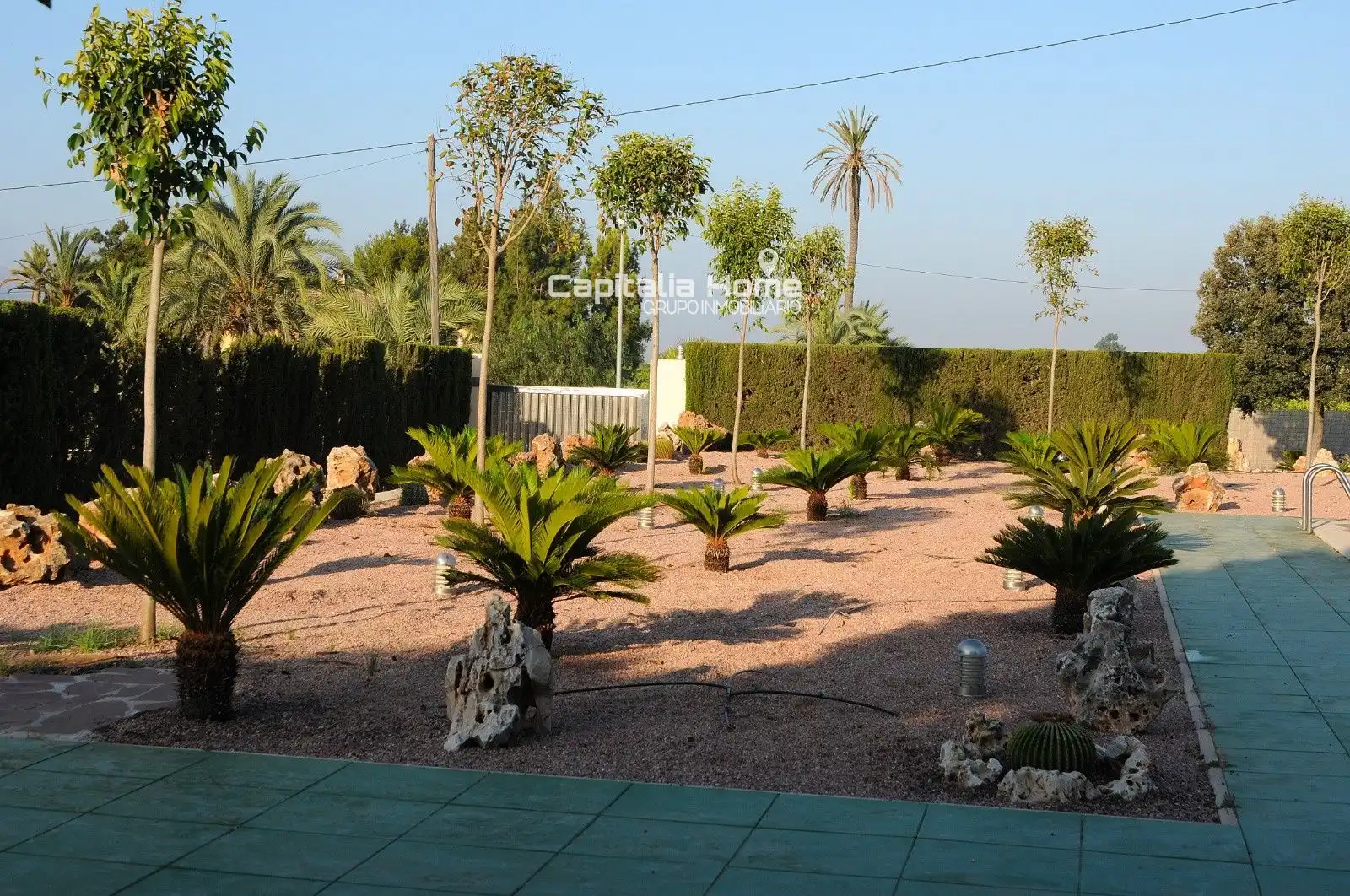 Jardín de Casa o chalet en venta en Orihuela