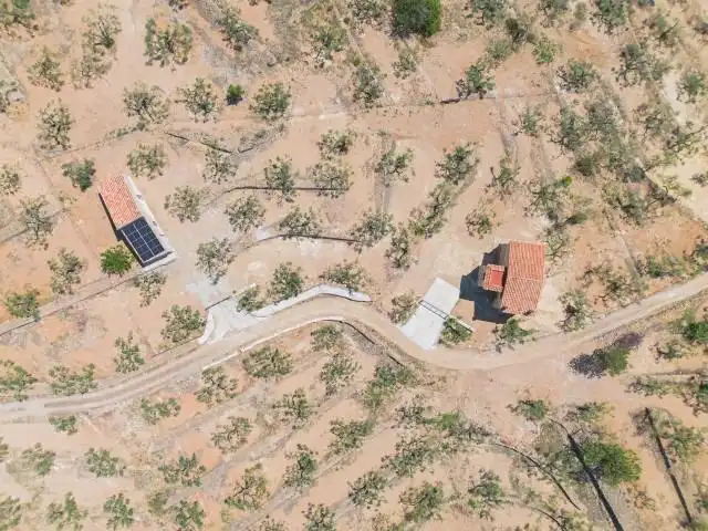 Maison rustique à vendre à El Perelló, imagen 11