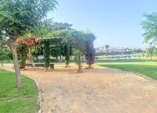 Planta baja en Alquiler en Avenida del Pintor Fernando Soria en Alicante Golf