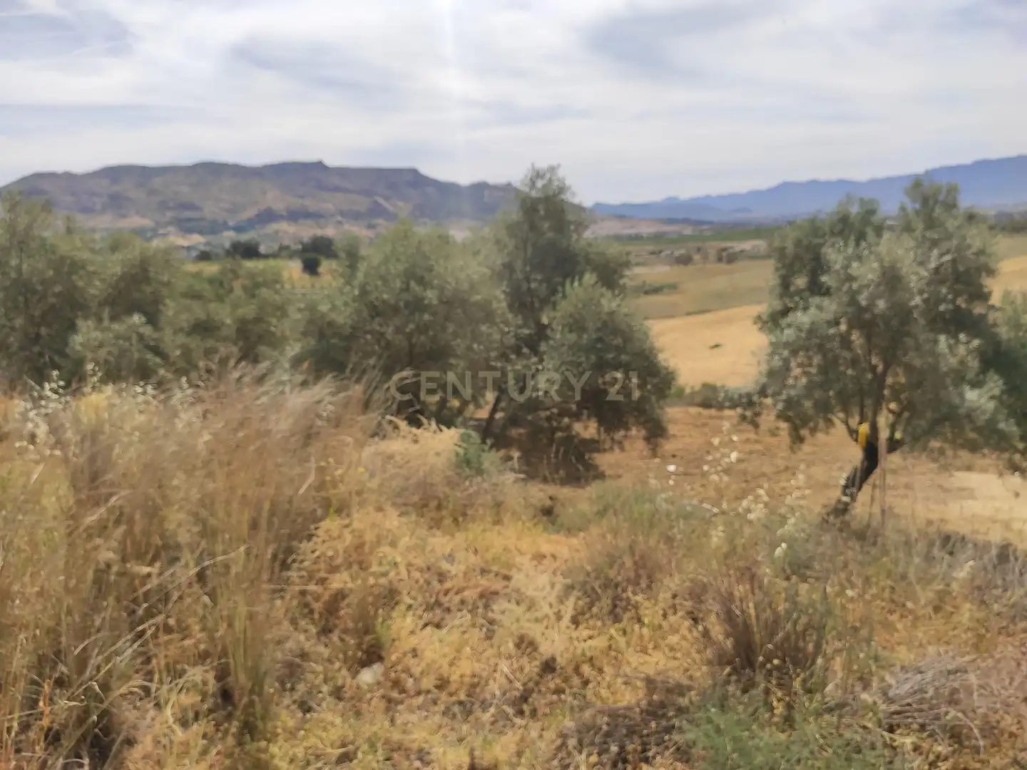 Terreni e lotti in vendita a poligono 3- parcela 102 0, imagen 24