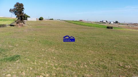 Foto 4 de Finca rústica en venda a Camino de Valdecobachos, 153, Urb. Calypo, Madrid