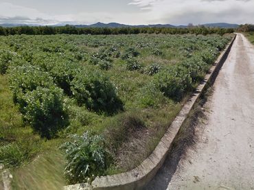 Terreno rustico in vendita a Villanueva de Castellón