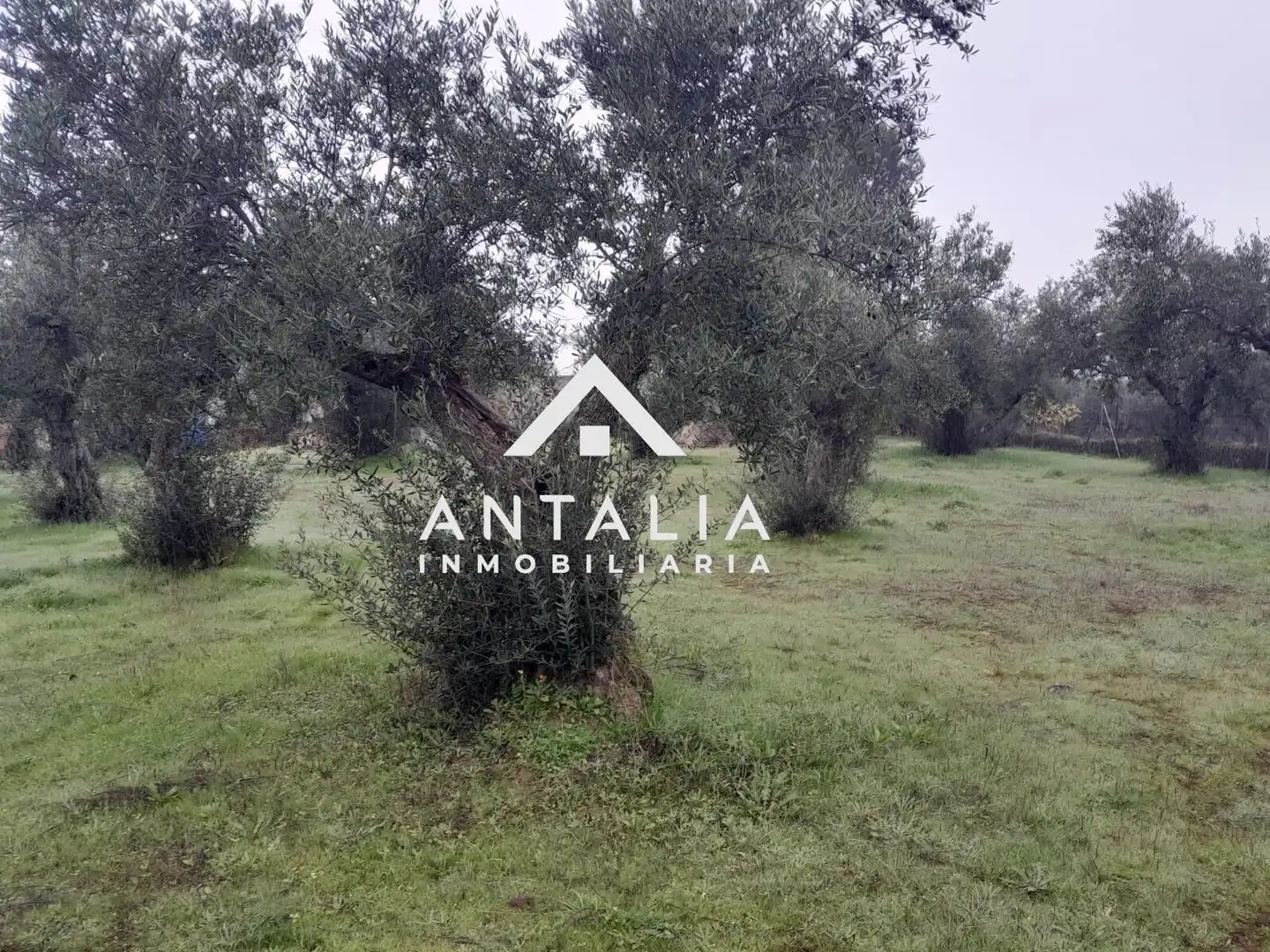 Terreni e lotti in vendita a Malpartida de Cáceres, imagen 6
