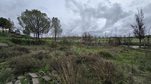 Photo 3 of House or chalet for sale in Cuevas de Luna, Benamaurel, Granada