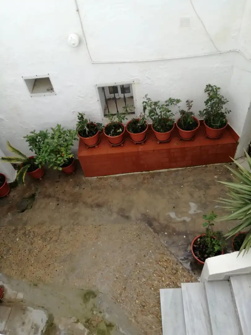 Casa rústica amb terrassa en venda a Vejer, imagen 78