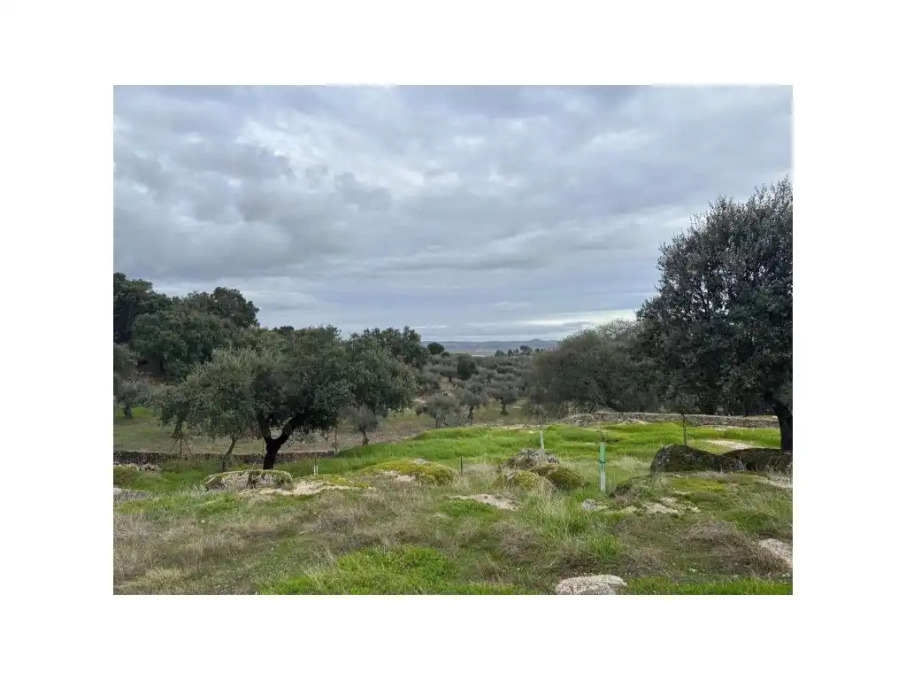 Finca rústica en venta en San Vicente de Alcántara con Aire acondicionado y Piscina