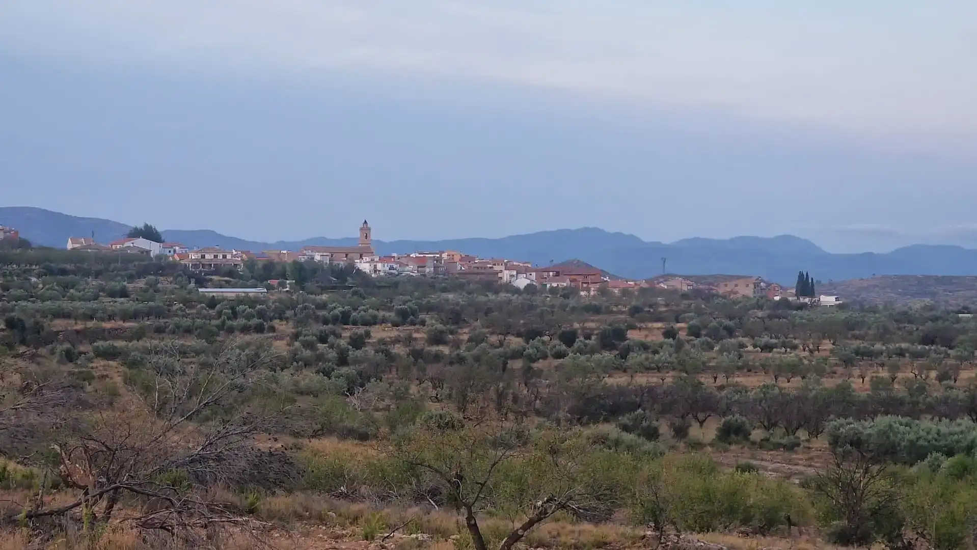 Finca rústica en venda en Toràs amb Balcó