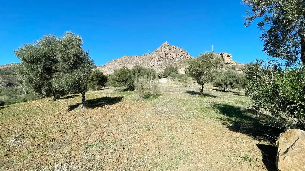 Terreny residencial en venda a Álora, imagen 8