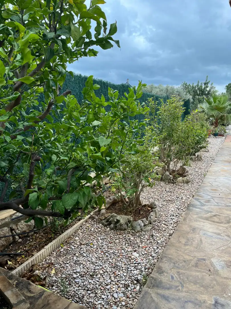 Jardín de Casa o chalet en venta en Peñíscola / Peníscola con Jardín privado, Terraza y Amueblado
