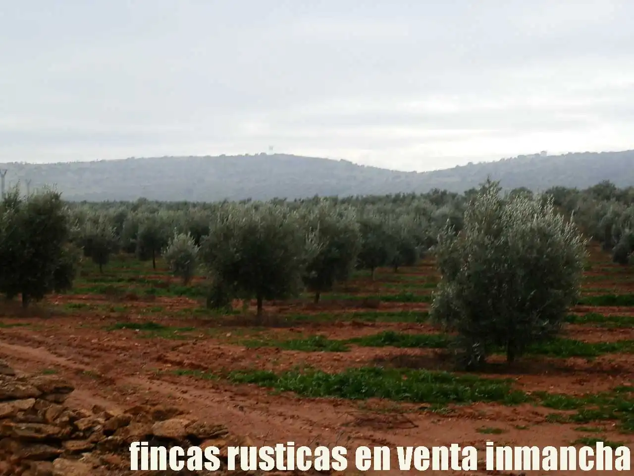 Terreno rústico en venta en Moral de Calatrava, imagen 7