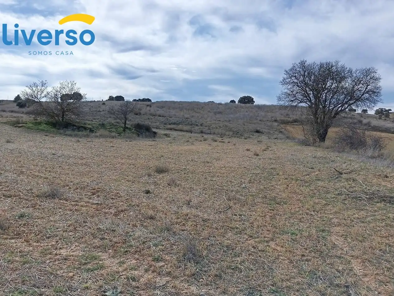 Terreno rústico en venta en Zona Rural, imagen 3