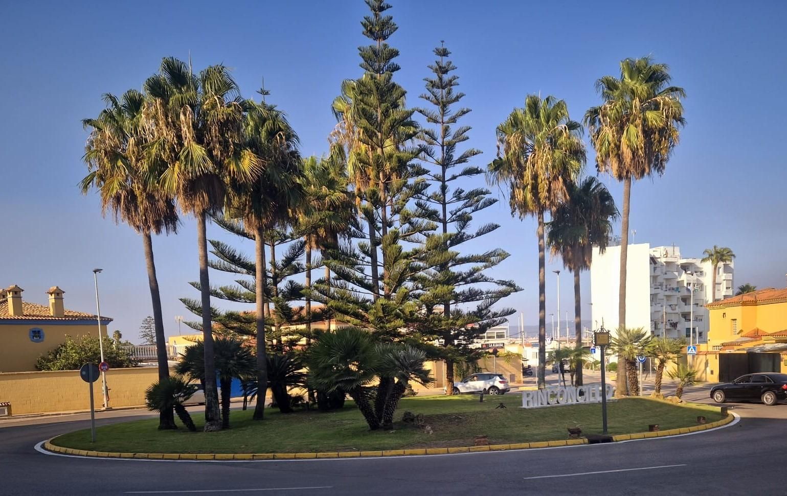 Exterior view of House or chalet for sale in Algeciras  with Private garden and Terrace