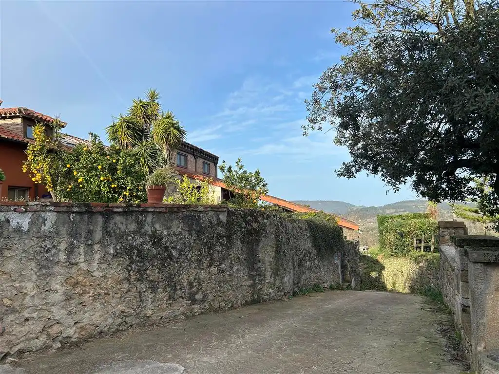 Vista exterior de Finca rústica en venta en Val de San Vicente 