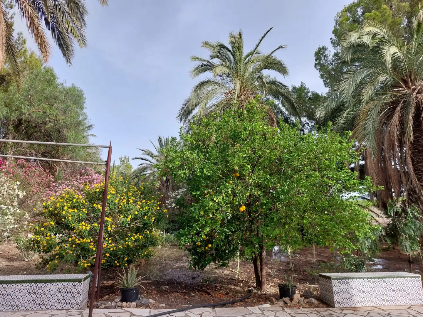 Garden of Country homes for sale in Partaloa