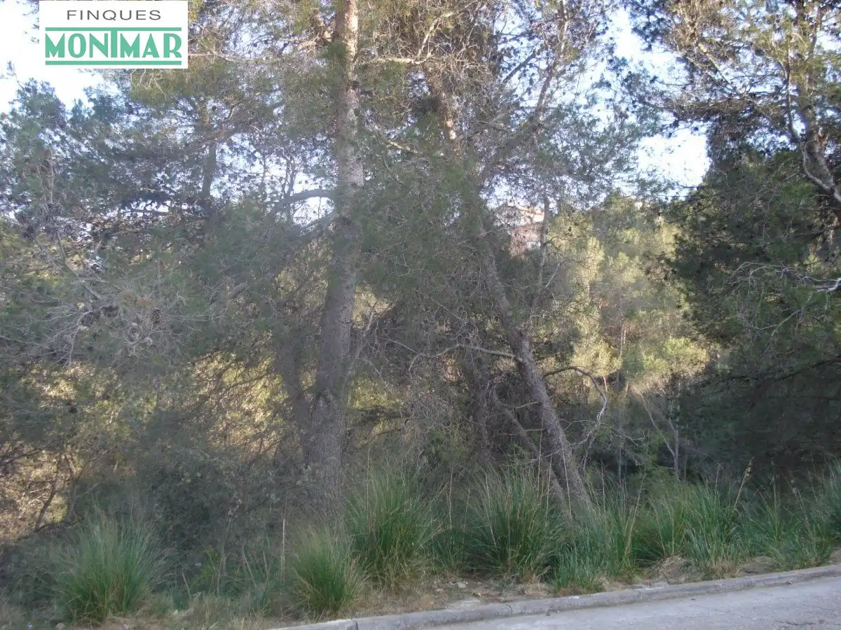 Wohnbaugrundstück zum Verkauf in Olivella, imagen 2