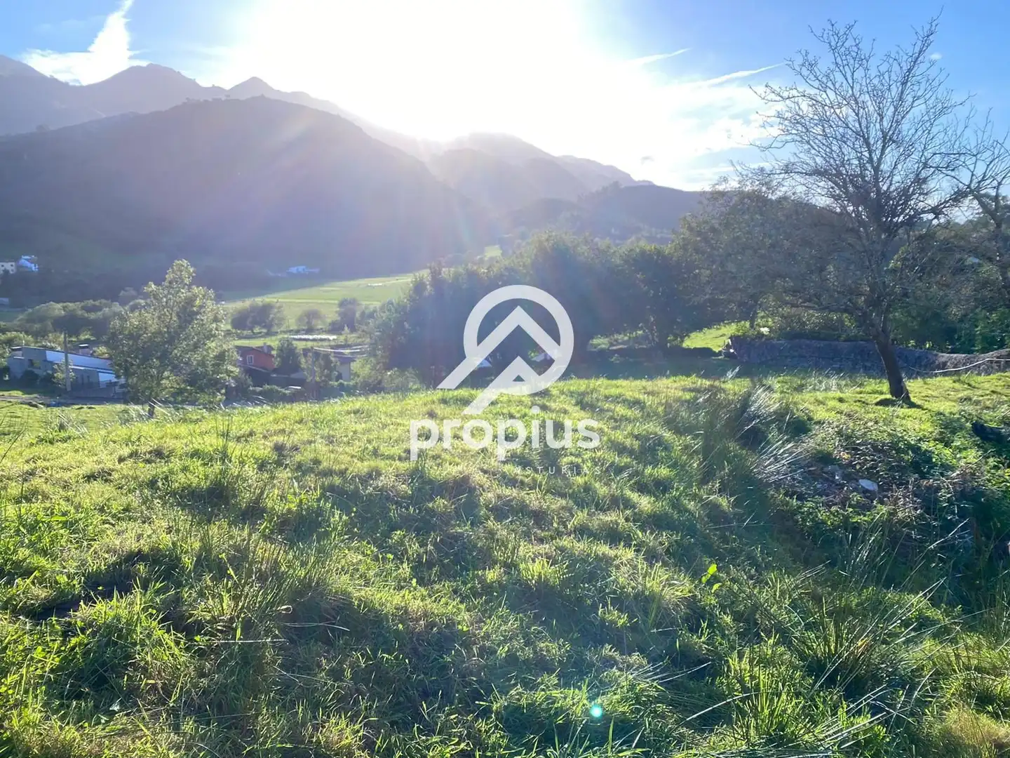 Terreno residencial en venta en LA BORBOLLA, imagen 4